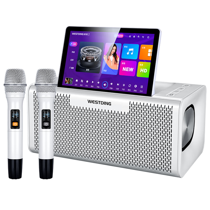 KTV一体机品牌排行前十名：精选这10款全能K歌神器，嗨唱无界！-图片6