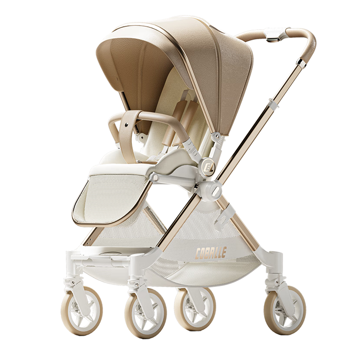 婴儿车什么品牌好？10大品牌横评，谁才是性价比之王？-图片9