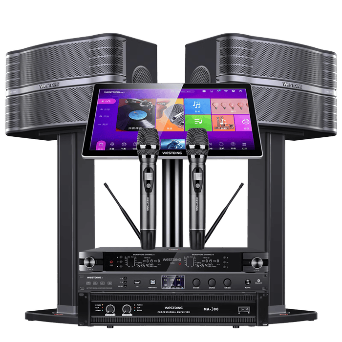 2026年点歌机别瞎买实测这3款闭眼入，家庭KTV秒变专业级-图片3