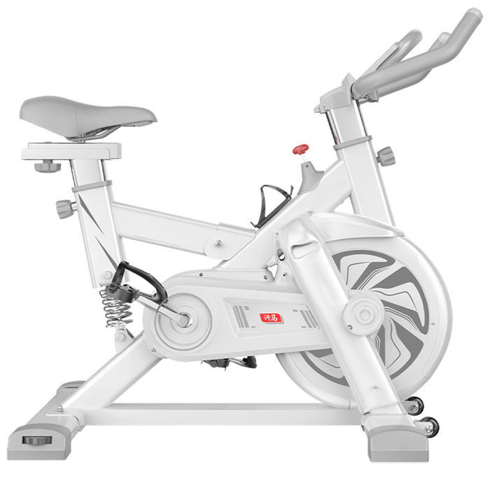 动感单车排名前十品牌出炉，这10款静音设计、舒适骑行，健身房必备神器-图片1