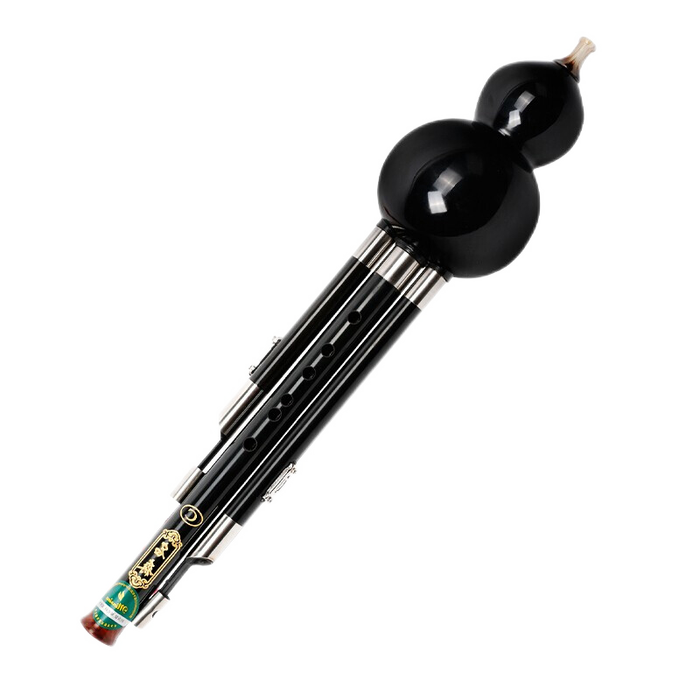 2025年葫芦丝乐器哪个好？这4款性价比超高，音质清晰，初学者必选