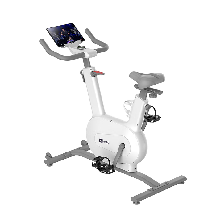 动感单车品牌排行前十名：揭秘这10款高效燃脂神器