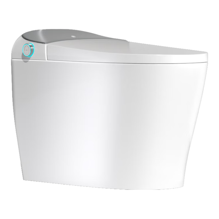 智能马桶排名前十名品牌:这10款高效节能,智能化体验升级-图片6