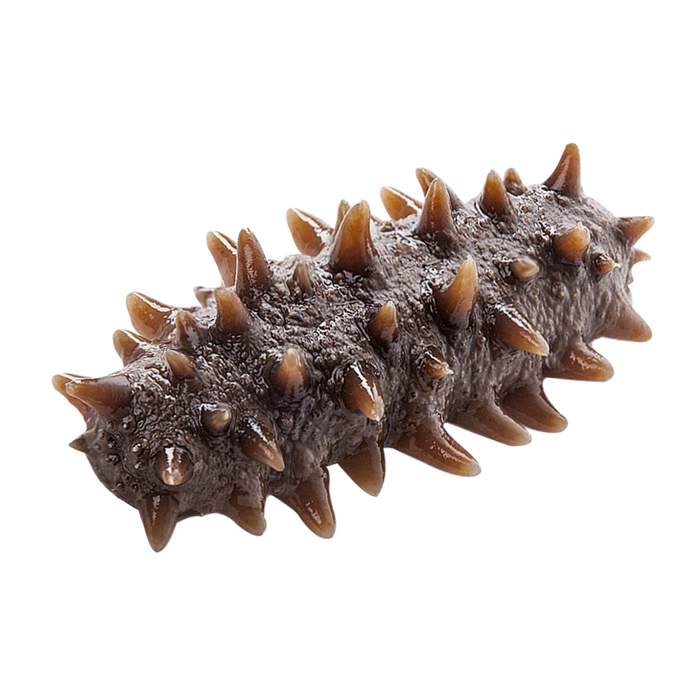 2025年即食海参十大品牌排行榜出炉：这10款鲜美营养，方便快捷，尽享海味盛宴