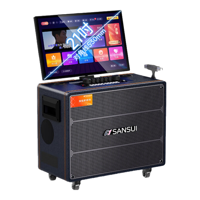 哪个品牌的广场舞音响性价比高?精选4款,音质强续航久超耐用-图片1