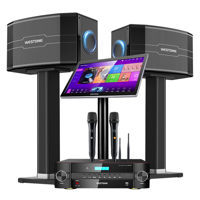 2026年KTV一体机品牌排名前十名，这10款音质超棒、功能齐全，让你轻松享受K歌乐趣-图片3