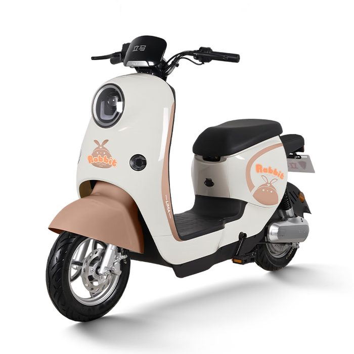 电动车十大品牌排行榜,这10款高效省电,骑行更轻松-图片9