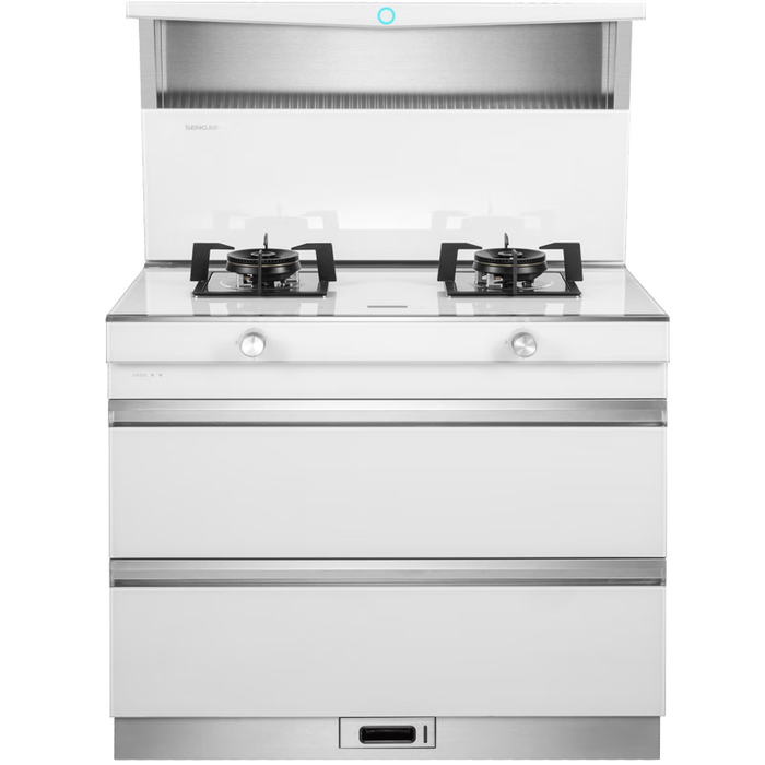 集成灶排名前十名品牌:这10款吸烟效果强,厨房更清新,烹饪更高效-图片8