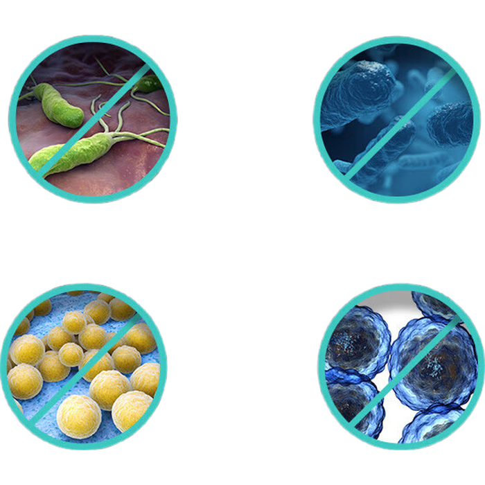 洗碗机品牌排行前十名：实测这10款高效清洁神器-图片1