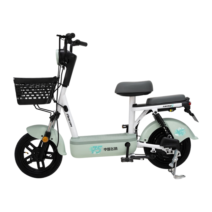 电动车十大品牌排行榜,这10款高效省电,骑行更轻松-图片7