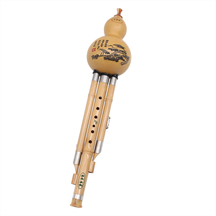 2025年葫芦丝乐器哪个好？这4款性价比超高，音质清晰，初学者必选