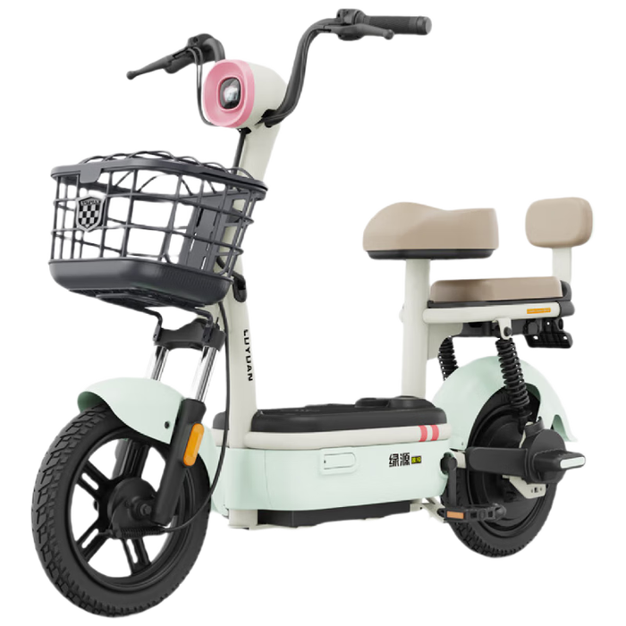 电动车十大品牌排行榜,这10款高效省电,骑行更轻松-图片6