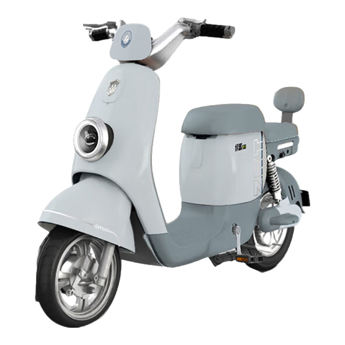 电动自行车排行榜前十名出炉:这10款续航强动力足,骑行超带感-图片2