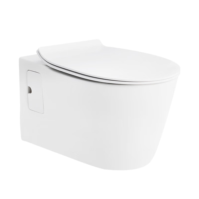 壁挂式马桶哪个牌子好?测评这3款节水防臭实力派!-图片3