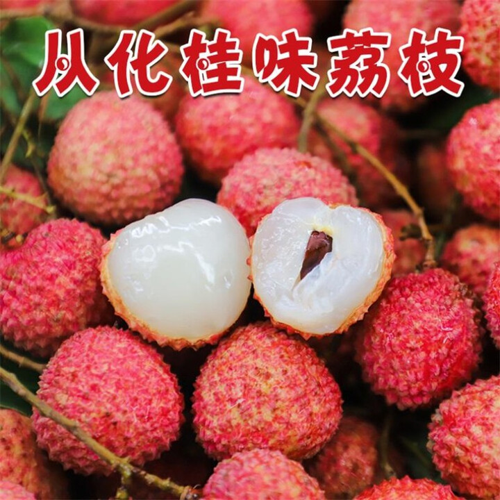 新从供广东从化荔枝桂味荔枝新鲜采摘供销产地直发核小肉厚岭南水果送礼 从化桂味荔枝（广东省外下单） 桂味荔枝带枝三斤装净重2.5斤【图片 价格 ...