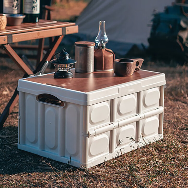 天丂 户外露营箱 户外野营野餐折叠收纳箱 露营桌车载储物箱收纳箱 【白色大号55L】