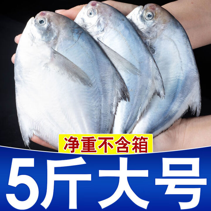 银鲳鱼新鲜特大号银鲳鱼海鱼昌鱼一整箱平鱼一级品批发 4斤 现捕现发每斤3-5条品质升级精品【图片 价格 品牌 报价】-京东