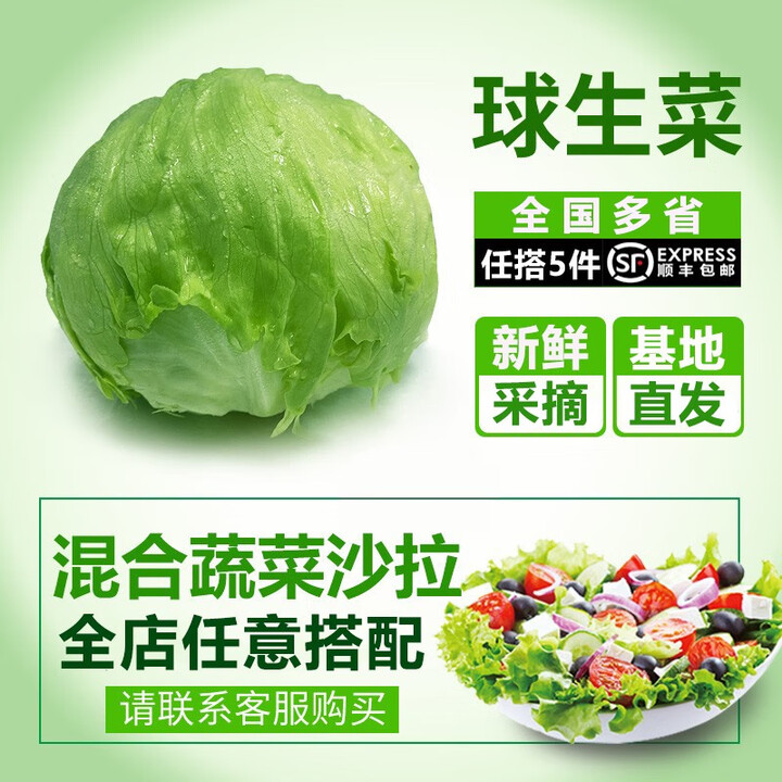 槿馐球生菜1斤装沙拉汉堡煎饼新鲜现采蔬菜沙拉食材轻食球形圆西生菜 500g【图片 价格 品牌 报价】-京东