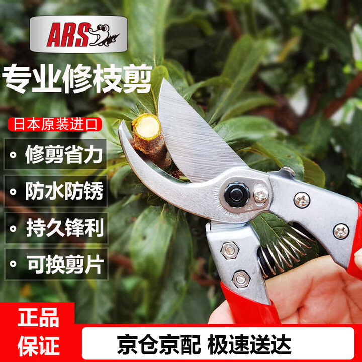 【爱丽斯(ARS)VS-8XZ】爱丽斯(ARS)VS-8XZ 修枝剪刀果树剪 剪枝剪刀园林剪粗枝剪树剪刀园艺修枝剪【行情 报价 价格 评测】-京东