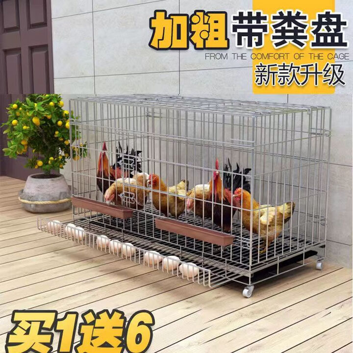 鸡笼子 家用养鸡笼大号特大号自动清粪折叠养殖笼鸡舍铁丝网鸭笼 加粗款套餐一 加粗加固100*60*70 适合8-10只【图片 价格 品牌 报价】-京东