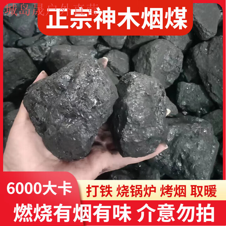 骆穂豆无烟煤炭块煤家用取暖户外烤火易燃软质无烟煤打铁烟煤高温耐烧 10斤神木烟煤(5-9公斤)