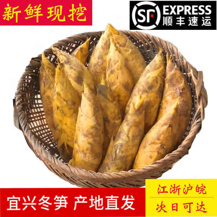 辰实【顺丰】新鲜宜兴冬笋 高山笋冬竹笋现挖现发 时令蔬菜毛笋 3斤 大号【图片 价格 品牌 报价】-京东