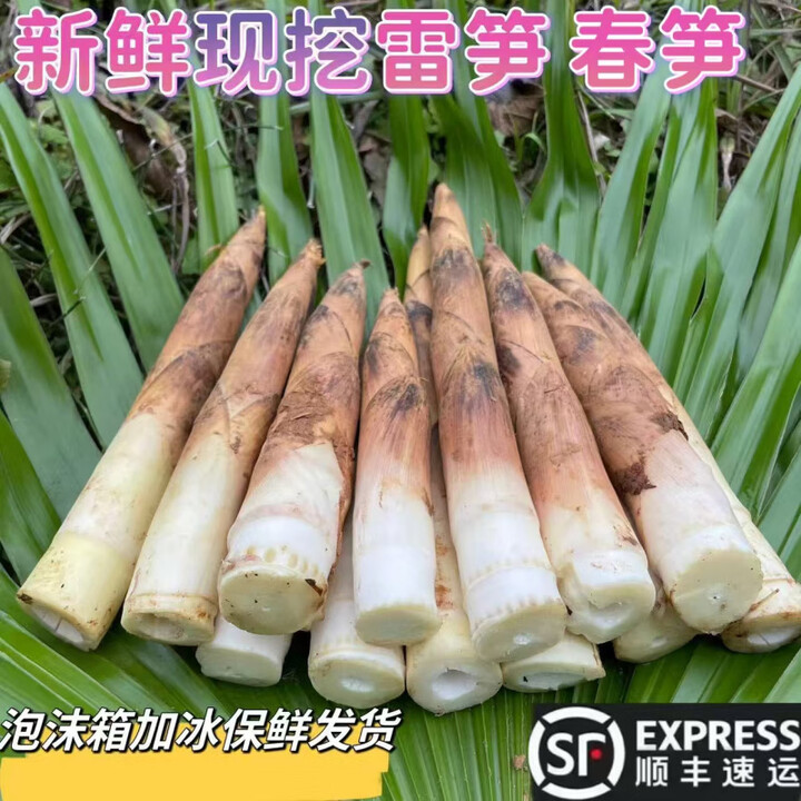 果木岛贵州高山小竹笋手拨笋新鲜雷竹笋秋笋春笋现挖油焖笋当季蔬菜 0-5两 2斤【图片 价格 品牌 报价】-京东