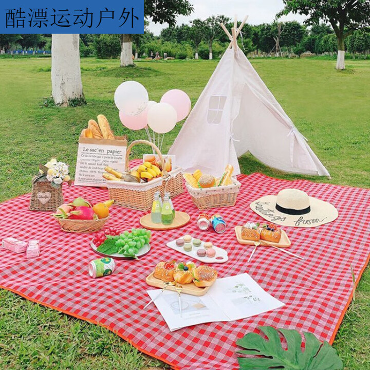 潮思汇极地火野餐垫春游防潮垫野餐布户外便携防水草野炊地垫郊游风 双面防水/无/不沾草红格 加厚150*200可坐6人