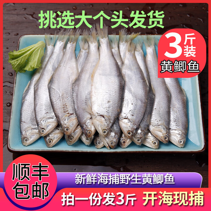 连云港赣榆新鲜黄鲫子黄鲫鱼油炸黄尖鱼烤子鱼海鲜特产油扣鱼簿鲫【图片 价格 品牌 报价】 京东 