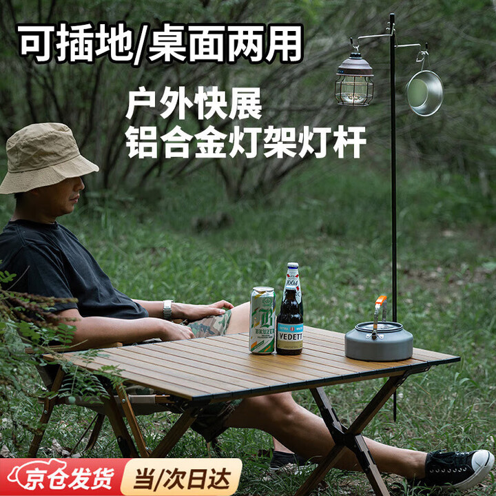 oein户外露营灯支架灯杆营地折叠便携式桌面照明挂灯勾挂架露营装备 黑色【露营灯架】双钩带地钉