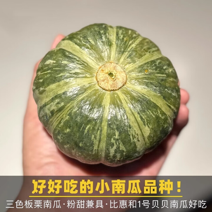 正宗叁色栗栗南瓜新鲜蔬菜贝栗美南瓜板栗味宝宝辅食三色栗栗南瓜 叁色栗栗 5斤 约5-11个 品种是口感最大的保障【图片 价格 品牌 报价】-京东
