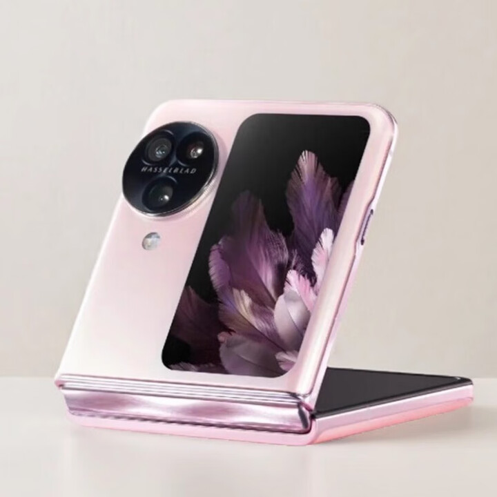 OPPO折叠屏手机哈苏影像美颜自拍智能手机智能5G库存拆封 存薄雾玫瑰 12GB+256GB x 套餐二 原厂