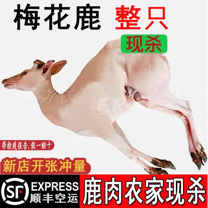 芬氏鹿肉新鲜现杀梅花鹿白条整只带皮鹿肉腿肉带骨带蹄礼盒鹿排鹿腱子 梅花鹿：3斤排骨2斤腱子（补血补气）【图片 价格 品牌 报价】 京东 