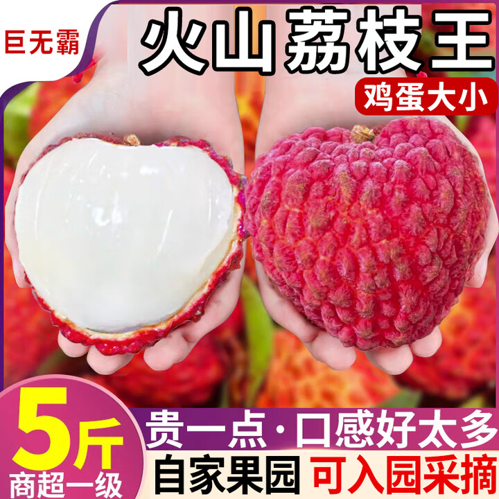 果尚语海南火山荔枝王超大特大巨无霸大荔枝新鲜整箱水果鲜荔枝顺丰空运 带箱10斤【10-12个/斤】净果8斤【图片 价格 品牌 报价】-京东