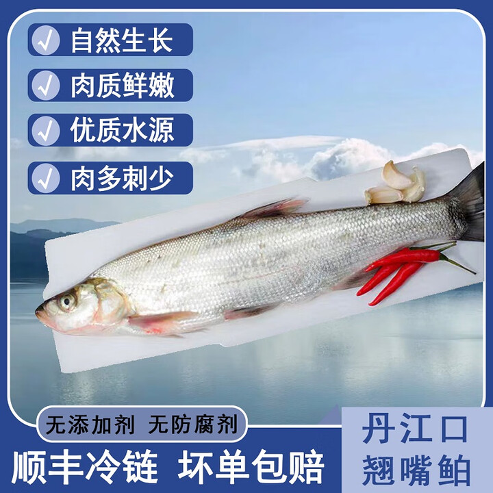 楚食比亚十堰丹江口翘嘴鲌鱼大白刁子鱼湖北特产翘嘴白鱼礼盒淡水鱼米级翘 2斤翘嘴鲌(1斤左右每条)【图片 价格 品牌 报价】-京东