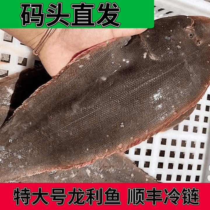 龙利鱼新鲜鳎目鱼新鲜舌头鱼牛舌鱼深海鲜踏板鲜活野生 特大(无冰单条1斤以上)3斤【图片 价格 品牌 报价】-京东