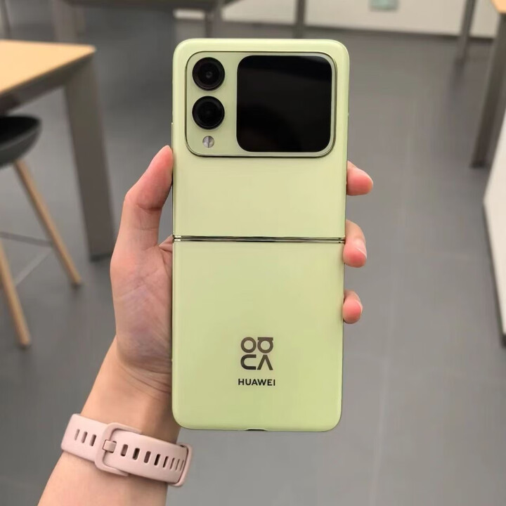 华为新款Nova Flip 全网通鸿蒙AI趣玩双卡双待小折叠屏正品手机 向新绿 12GB+512GB 官方标配+【原封未激活】+全国联保