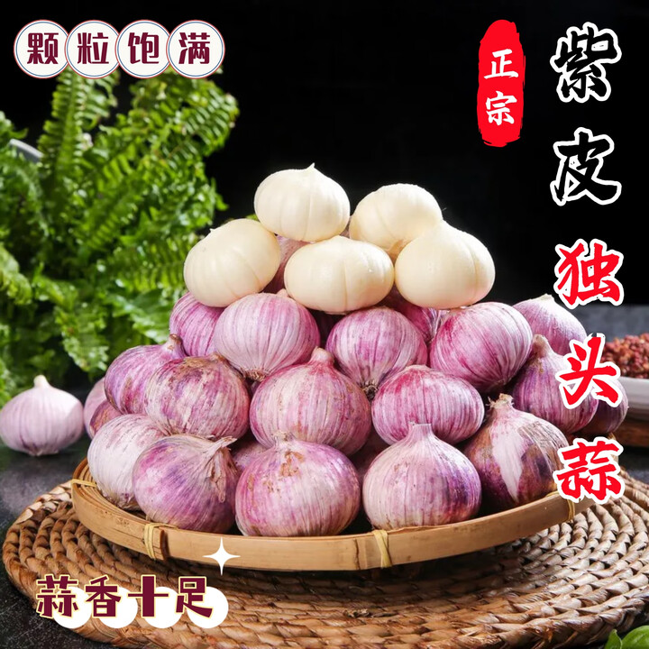 金百粟 云南紫皮独头蒜2025全干蒜大蒜红皮干独蒜当季蔬菜辛辣味浓 紫皮干独蒜 净重1斤 中果2.5-3.0cm【图片 价格 品牌 报价】-京东