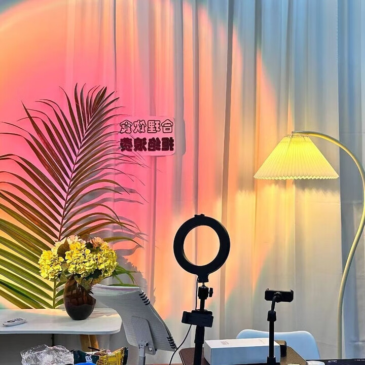 直播背景布网红直播间背景帘窗帘免打孔魔术贴纱帘隔断女主播专用 背景纱 魔术贴加工宽2.0*高2.72米一片（适合近距离）【图片 价格 品牌 ...