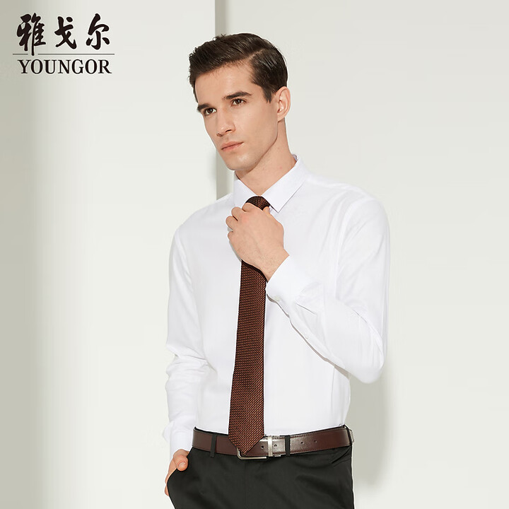 【雅戈尔(YOUNGOR)YLDP110246BBA】雅戈尔【商场同款】2025秋季新款男士商务休闲上班衬衣 漂白素色 41【行情 报价 价格 ...