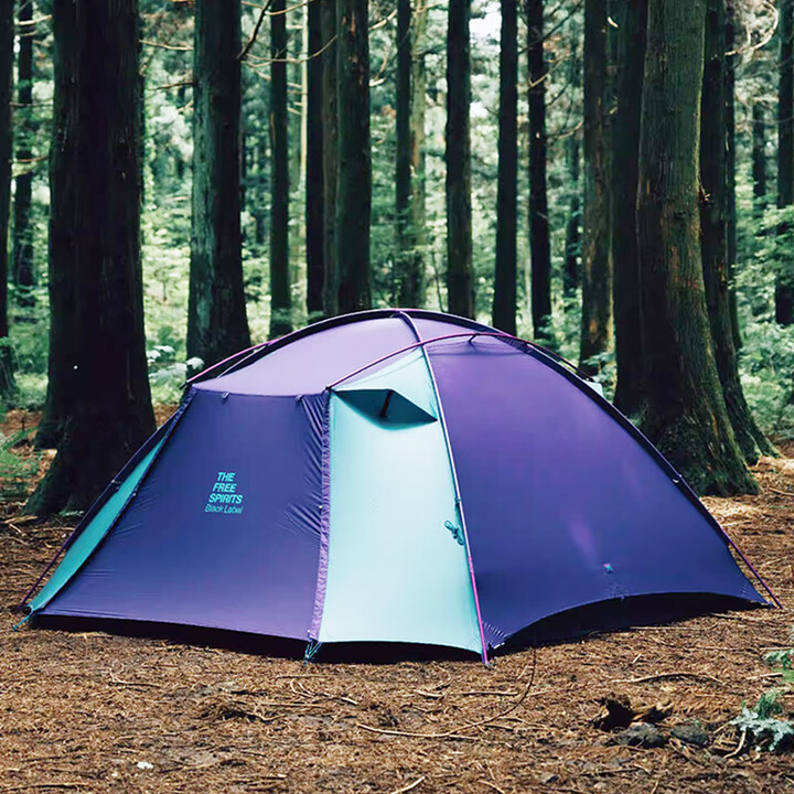 自由之魂（The Free Spirits）繁星Stars 4户外四人抗风防雨三季露营帐篷 繁星4 皇家紫&马尔斯绿+地布