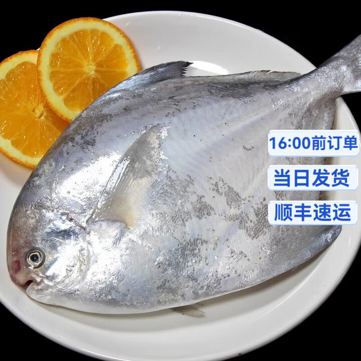 亚又婧 特大银鲳鱼新鲜冷冻 东海白鲳鱼鲜活海捕 大昌鱼平鱼鲳鳊鱼 无冰净重5条【8两-1斤/条】【图片 价格 品牌 报价】-京东
