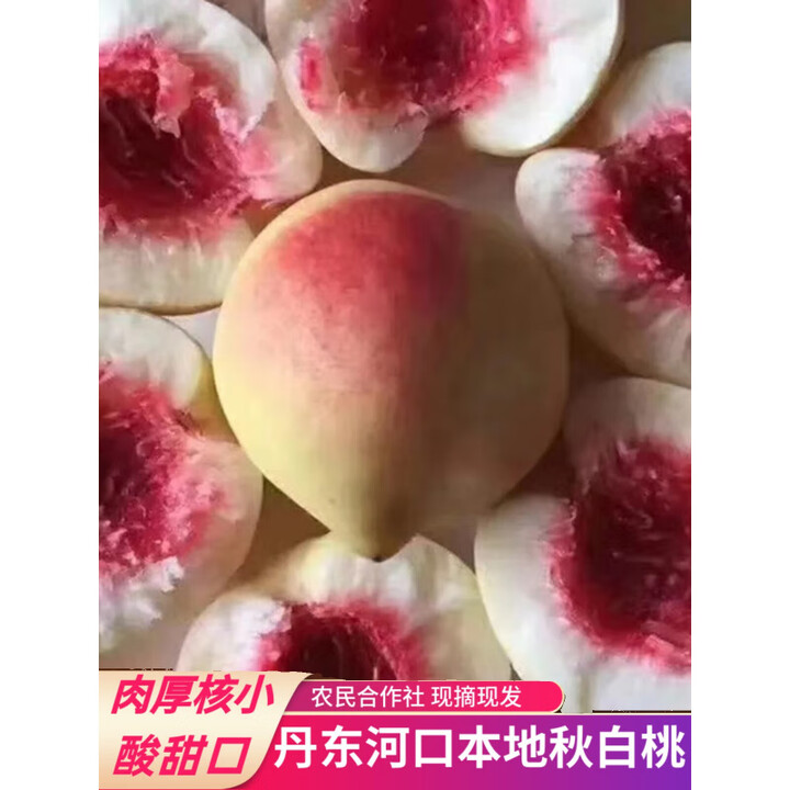 丹东河口秋白桃银白桃离核桃新鲜黑沟宽甸大毛桃现摘现发5斤 3斤 精选超果【图片 价格 品牌 报价】-京东