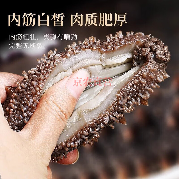 大连海参即食刺鲜活淡干海渗辽参年干货海生500g装袋 1斤 10-12只/1斤【图片 价格 品牌 报价】-京东