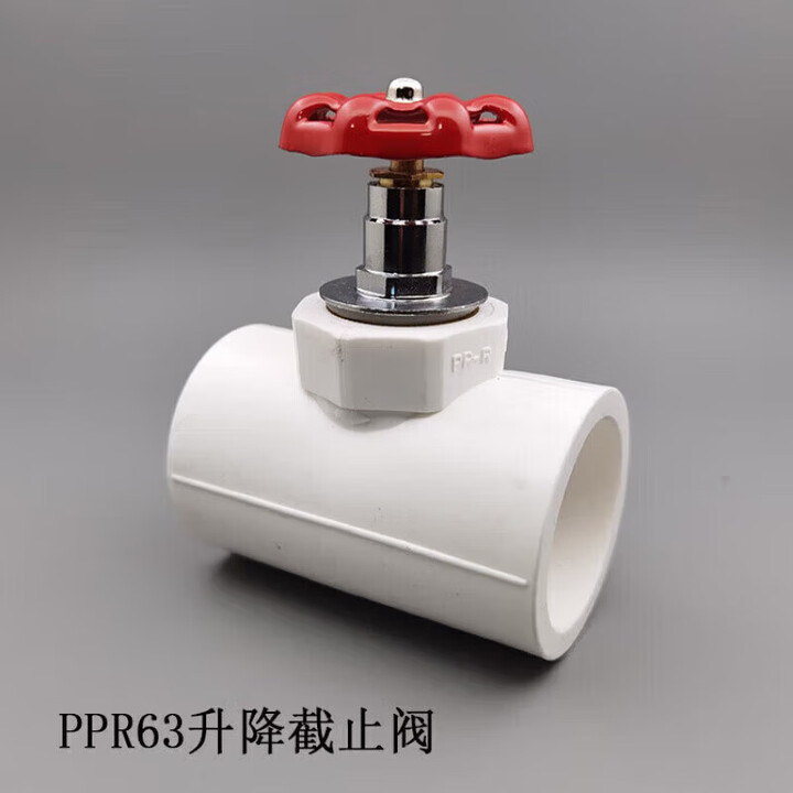 花乐集PPR水管配件阀门水阀闸阀4分6分1寸 PPR铜杆铜芯升降式截止阀开关 白63升降截止阀【图片 价格 品牌 报价】-京东