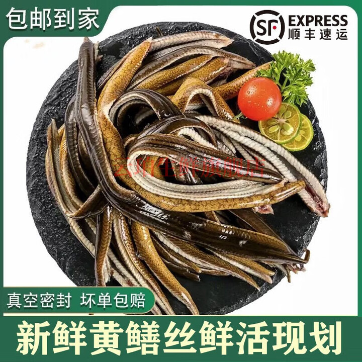 新鲜黄鳝丝肉鳝鱼肉鲜活鳝鱼去头去骨保鲜到家长鱼丝鳝丝苏北黄鳝 黄鳝丝 净重(500g)去头去骨【图片 价格 品牌 报价】-京东