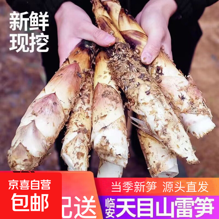 【头茬嫩笋】临安天目山春笋新鲜大笋雷笋现挖竹笋蔬菜生鲜健康 净重2.5斤中小笋【图片 价格 品牌 报价】-京东