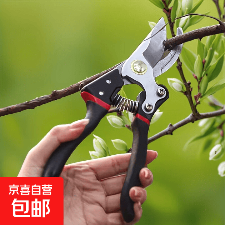 【月销过万】不锈钢修枝剪钢剪树剪子枝条剪花枝剪刀家用园林专用 精工精品-10倍耐用+黑武士款【图片 价格 品牌 报价】-京东