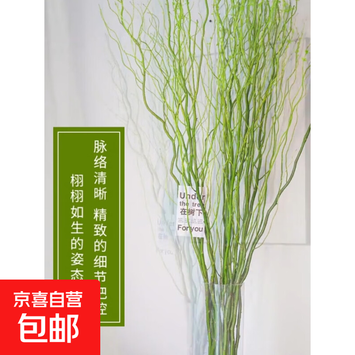 室内水培绿植龙柳鲜枝盆栽花卉观叶好养活客厅四季可养 精选龙柳1米高5支 不含盆【图片 价格 品牌 报价】-京东