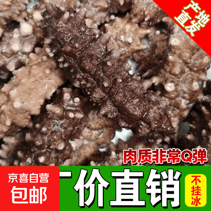 底播海参即食刺鲜活非淡干海渗海参干货野生海生500g特价旗舰装袋 【深海刺参】4-9个每斤 性价比 试吃装-【到手1斤】【图片 价格 品牌 ...